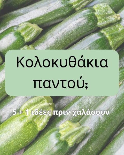 ιδέες με κολοκυθακια