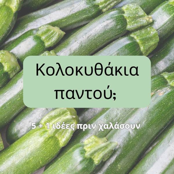 ιδέες με κολοκυθακια